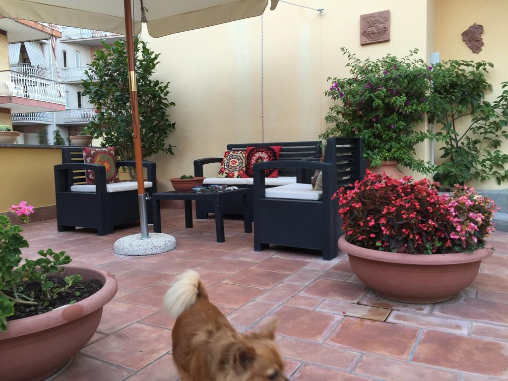 A Casa Di Grace Bed and Breakfast Cassino Buitenkant foto