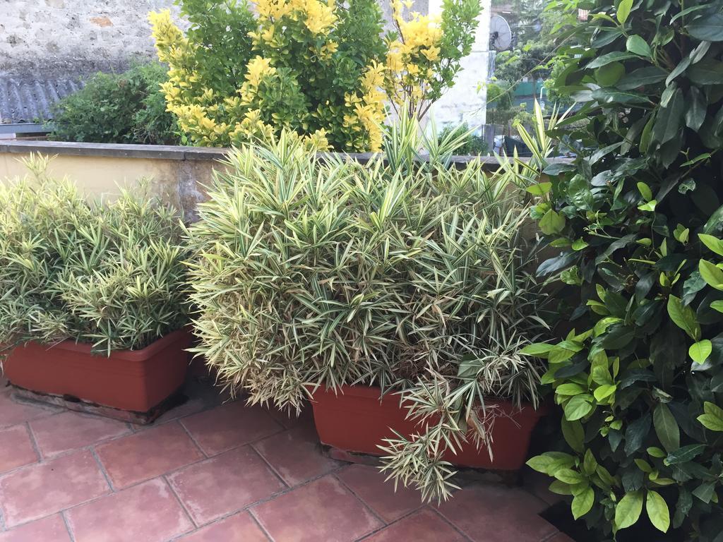 A Casa Di Grace Bed and Breakfast Cassino Buitenkant foto